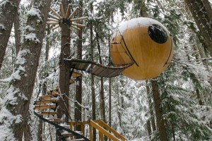 922-sphere-tree-house-בית-על-עץ-כדור